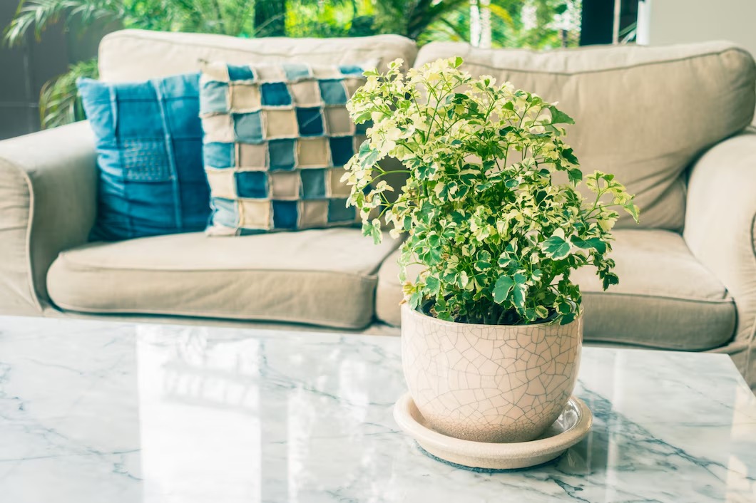 Incredible Eco-Friendly Interior Designer Ideas for Your Home